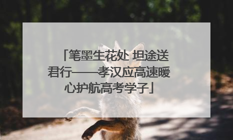 笔墨生花处 坦途送君行——孝汉应高速暖心护航高考学子