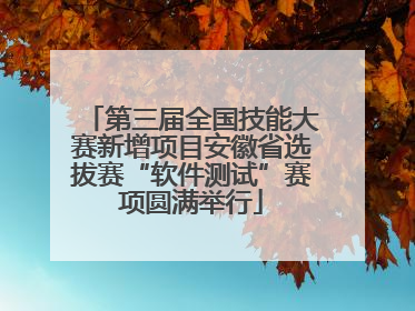 第三届全国技能大赛新增项目安徽省选拔赛“软件测试”赛项圆满举行