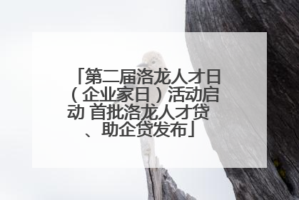 第二届洛龙人才日（企业家日）活动启动 首批洛龙人才贷、助企贷发布
