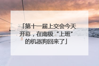 第十一届上交会今天开幕，在南极“上班”的机器狗回来了
