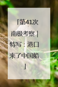 第41次南极考察｜特写：港口来了中国船