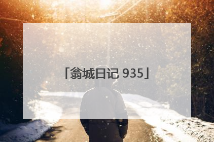 翁城日记 935