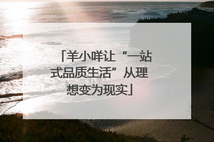羊小咩让“一站式品质生活”从理想变为现实