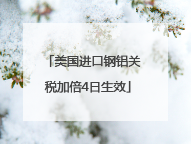 美国进口钢铝关税加倍4日生效