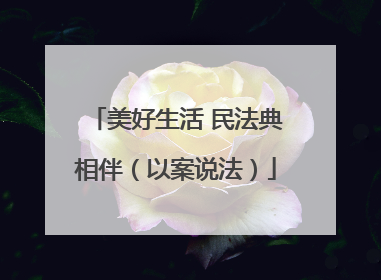 美好生活 民法典相伴（以案说法）