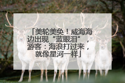 美轮美奂！威海海边出现“蓝眼泪”，游客：海浪打过来，就像星河一样