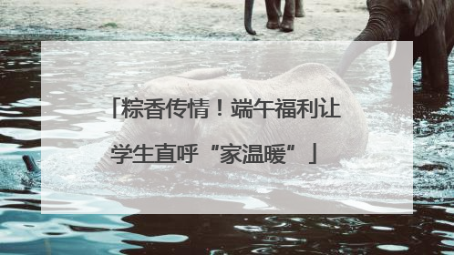 粽香传情！端午福利让学生直呼“家温暖”