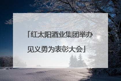 红太阳酒业集团举办见义勇为表彰大会