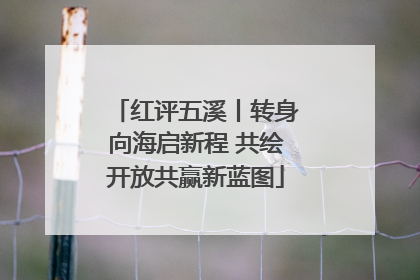 红评五溪丨转身向海启新程 共绘开放共赢新蓝图