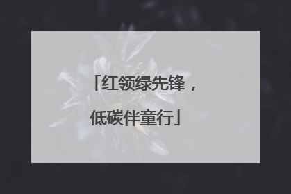 红领绿先锋，低碳伴童行