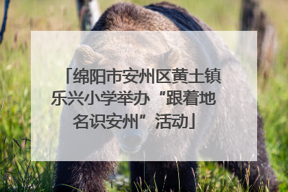绵阳市安州区黄土镇乐兴小学举办“跟着地名识安州”活动