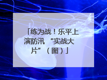 练为战！乐平上演防汛 “实战大片”（图）