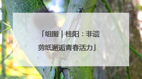 组图｜桂阳：非遗剪纸邂逅青春活力