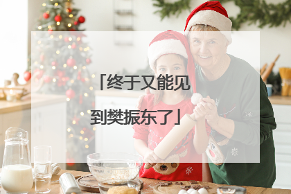 终于又能见到樊振东了