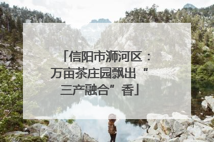 信阳市浉河区：万亩茶庄园飘出“三产融合”香