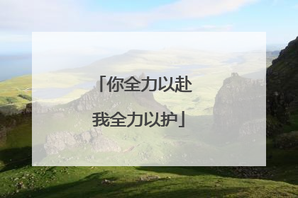 你全力以赴 我全力以护
