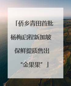 侨乡青田首批杨梅启程新加坡 保鲜提质售出“金果果”
