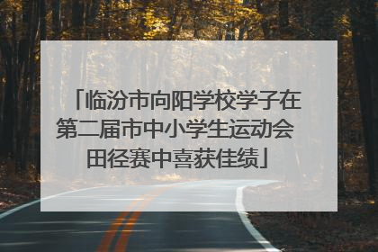 临汾市向阳学校学子在第二届市中小学生运动会田径赛中喜获佳绩
