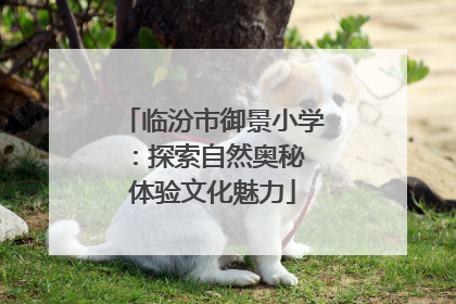 临汾市御景小学：探索自然奥秘 体验文化魅力