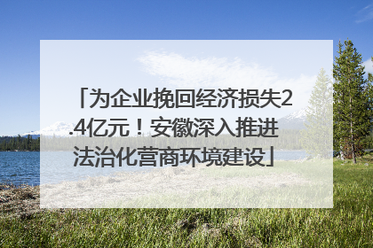 为企业挽回经济损失2.4亿元！安徽深入推进法治化营商环境建设