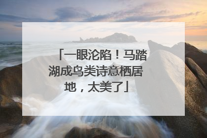 一眼沦陷！马踏湖成鸟类诗意栖居地，太美了