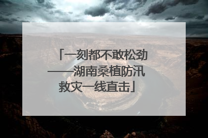 一刻都不敢松劲——湖南桑植防汛救灾一线直击