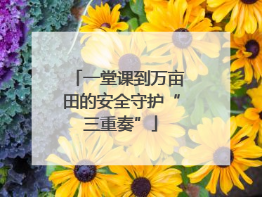 一堂课到万亩田的安全守护“三重奏”