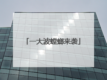 一大波螳螂来袭
