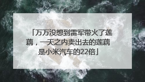 万万没想到雷军带火了莲藕，一天之内卖出去的莲藕是小米汽车的22倍