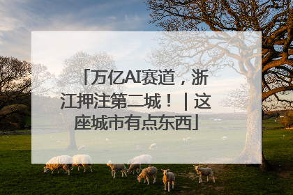 万亿AI赛道，浙江押注第二城！｜这座城市有点东西