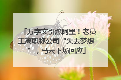 万字文引爆阿里！老员工离职称公司“失去梦想”，马云下场回应