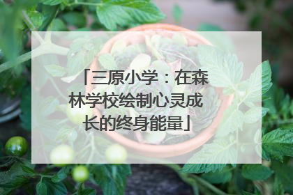 三原小学：在森林学校绘制心灵成长的终身能量