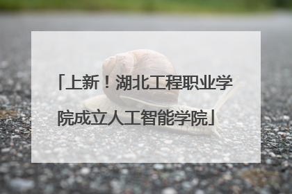 上新！湖北工程职业学院成立人工智能学院