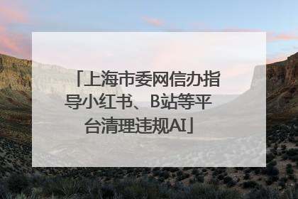 上海市委网信办指导小红书、B站等平台清理违规AI