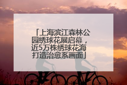 上海滨江森林公园绣球花展启幕，近5万株绣球花海打造治愈系画面