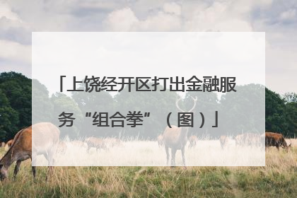 上饶经开区打出金融服务“组合拳”（图）