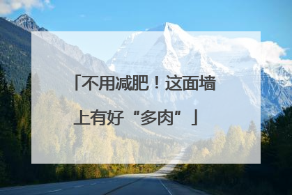 不用减肥！这面墙上有好“多肉”