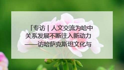 专访｜人文交流为哈中关系发展不断注入新动力——访哈萨克斯坦文化与信息部部长巴拉耶娃