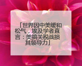 世界因中美缓和松气，埃及学者直言：美搞关税战损其领导力