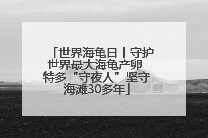 世界海龟日丨守护世界最大海龟产卵 特多“守夜人”坚守海滩30多年