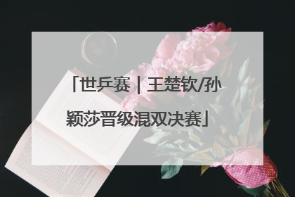 世乒赛｜王楚钦/孙颖莎晋级混双决赛