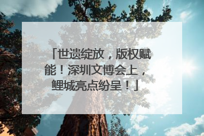 世遗绽放，版权赋能！深圳文博会上，鲤城亮点纷呈！