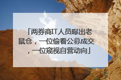 两券商IT人员曝出老鼠仓，一位偷看公募成交，一位窥视自营动向