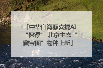 中华白海豚喜提AI“保镖” 北京生态“藏宝图”物种上新