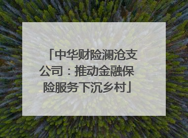 中华财险澜沧支公司：推动金融保险服务下沉乡村