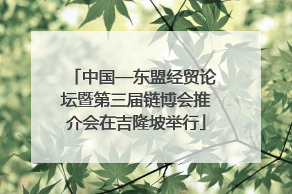 中国—东盟经贸论坛暨第三届链博会推介会在吉隆坡举行