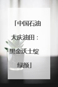 中国石油大庆油田：黑金沃土绽绿颜