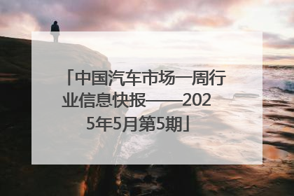 中国汽车市场一周行业信息快报——2025年5月第5期