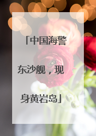 中国海警东沙舰，现身黄岩岛