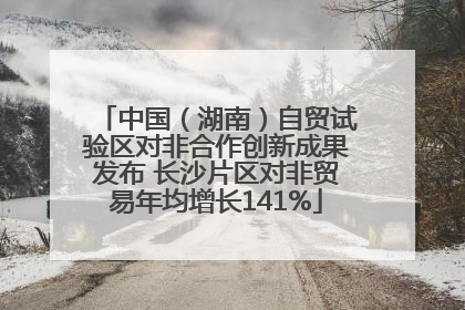 中国（湖南）自贸试验区对非合作创新成果发布 长沙片区对非贸易年均增长141%